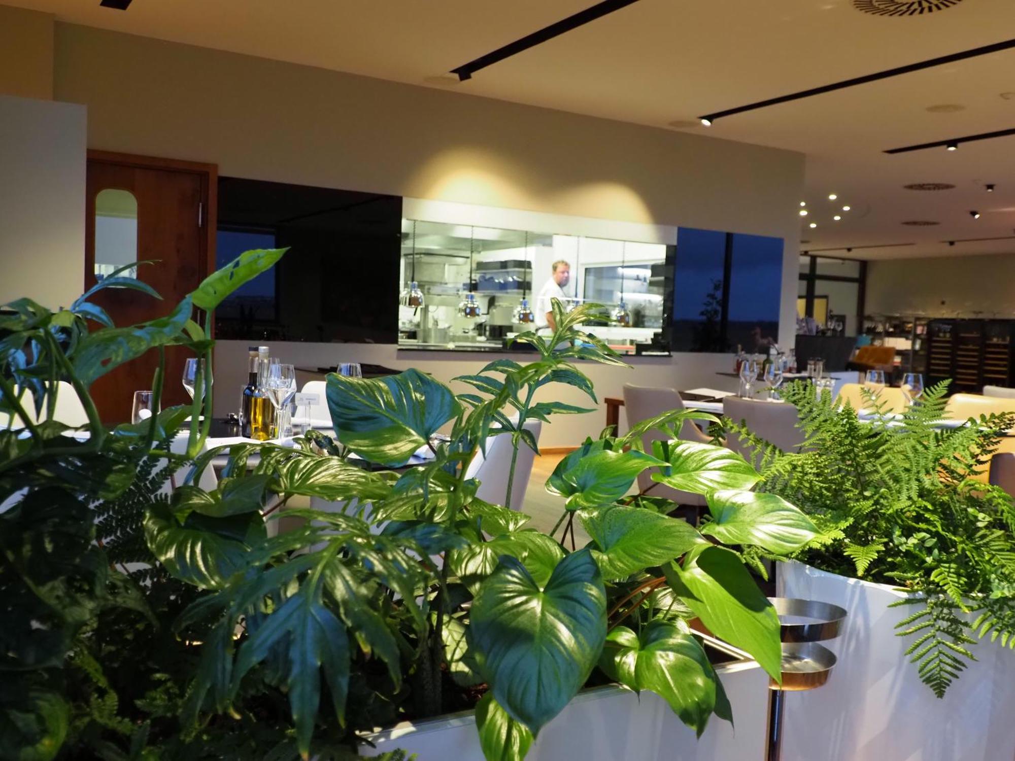 Mg Restaurace/Luxury Apartments มลาดาโบเลสลัฟ ภายนอก รูปภาพ